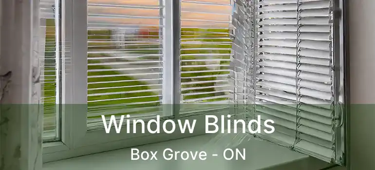  Window Blinds Box Grove - ON