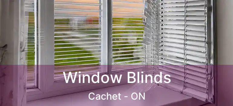  Window Blinds Cachet - ON