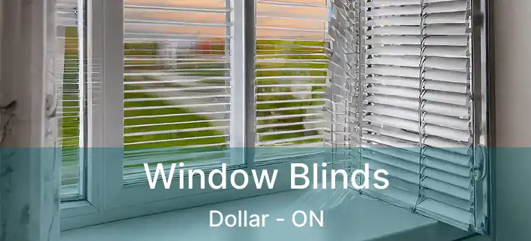  Window Blinds Dollar - ON