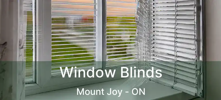  Window Blinds Mount Joy - ON