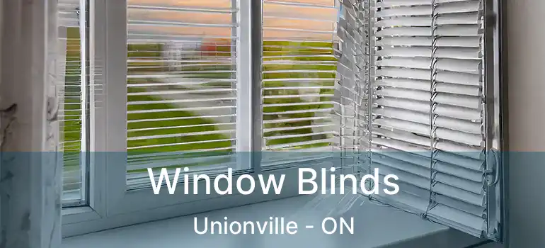  Window Blinds Unionville - ON