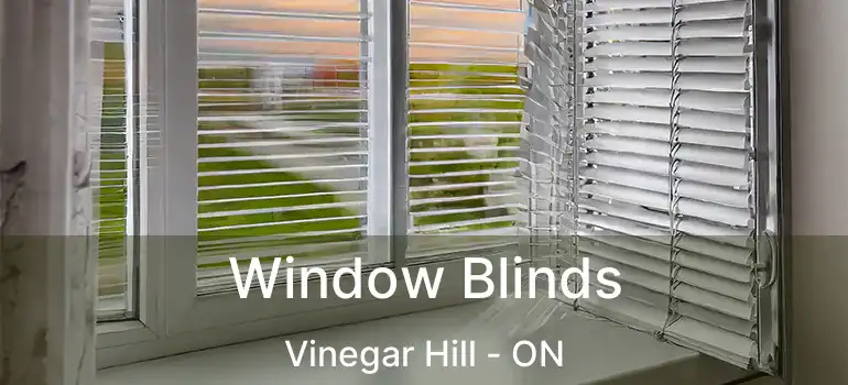  Window Blinds Vinegar Hill - ON