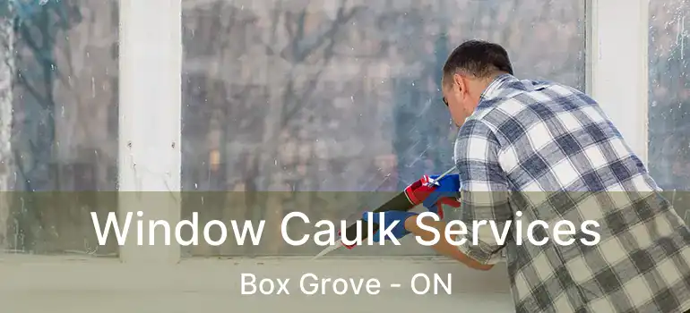  Window Caulk Services Box Grove - ON