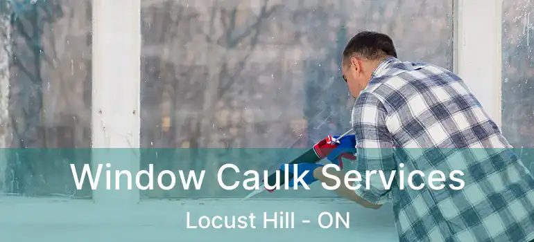  Window Caulk Services Locust Hill - ON
