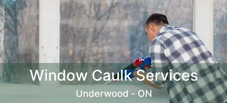  Window Caulk Services Underwood - ON