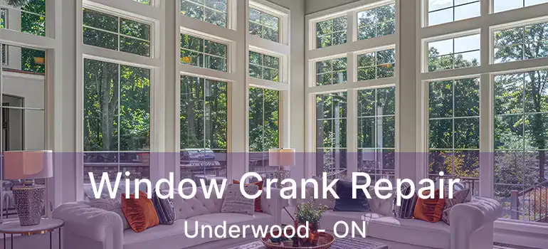  Window Crank Repair Underwood - ON