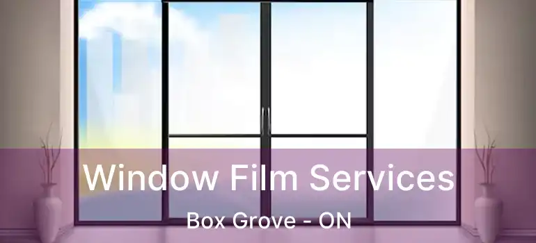  Window Film Services Box Grove - ON