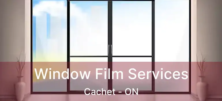  Window Film Services Cachet - ON