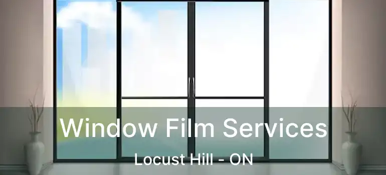  Window Film Services Locust Hill - ON