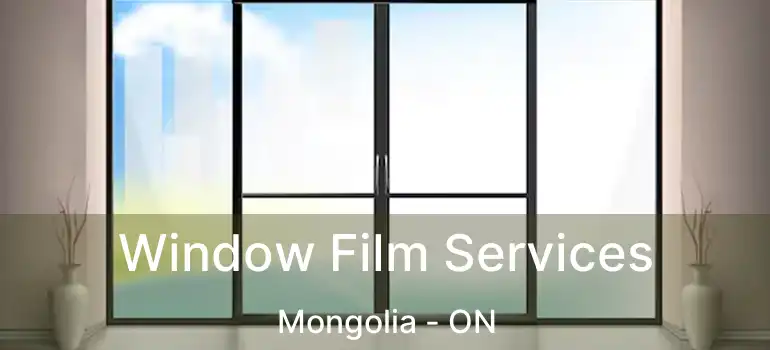  Window Film Services Mongolia - ON