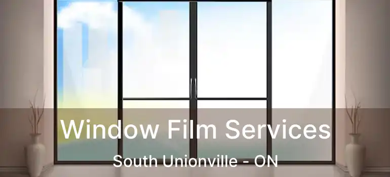  Window Film Services South Unionville - ON