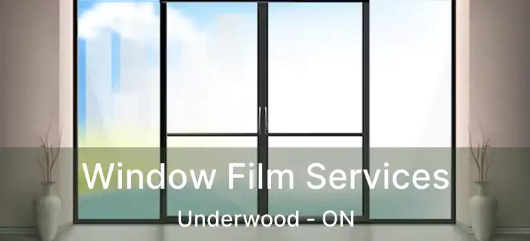 Window Film Services Underwood - ON