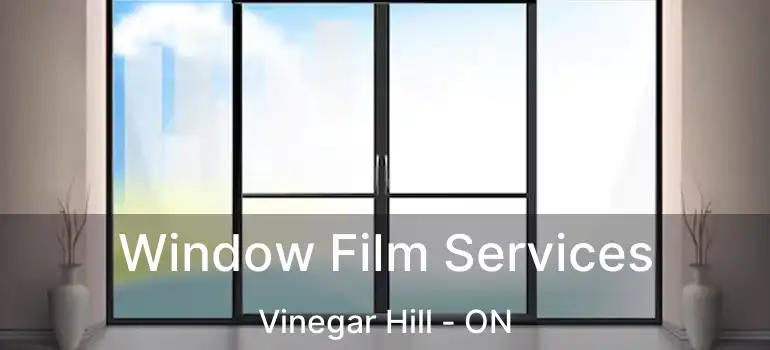 Window Film Services Vinegar Hill - ON