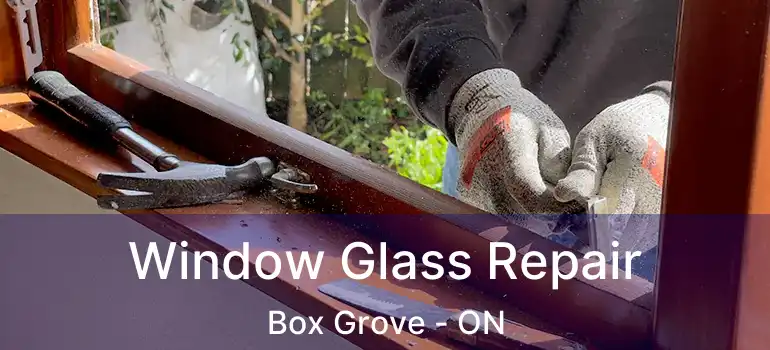  Window Glass Repair Box Grove - ON