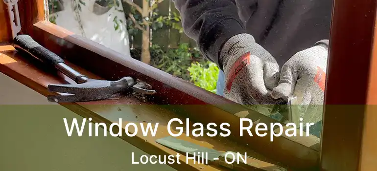  Window Glass Repair Locust Hill - ON