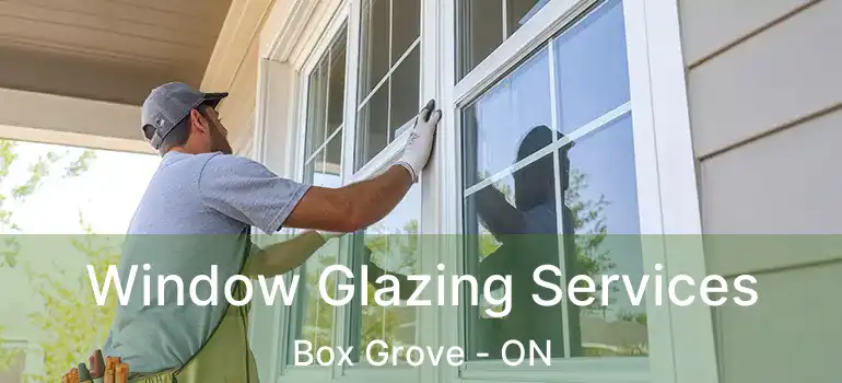  Window Glazing Services Box Grove - ON