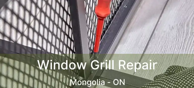  Window Grill Repair Mongolia - ON