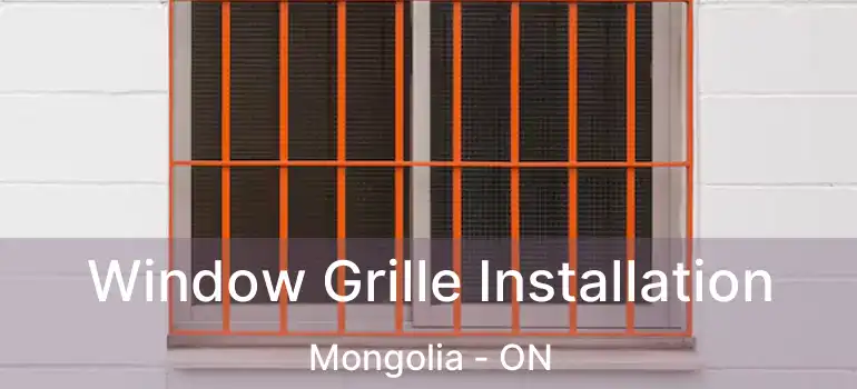 Window Grille Installation Mongolia - ON