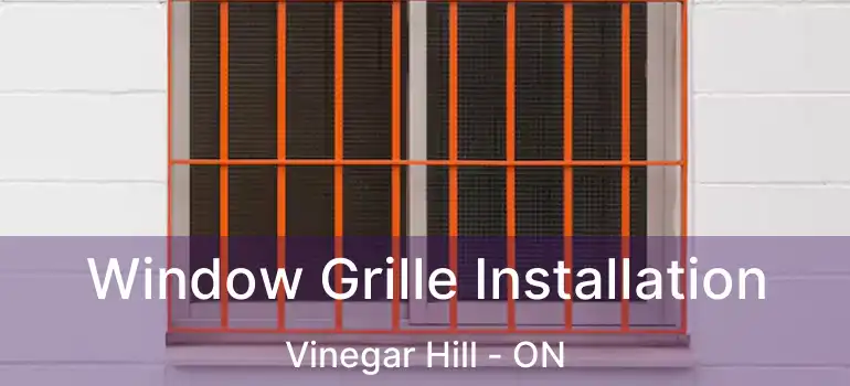  Window Grille Installation Vinegar Hill - ON