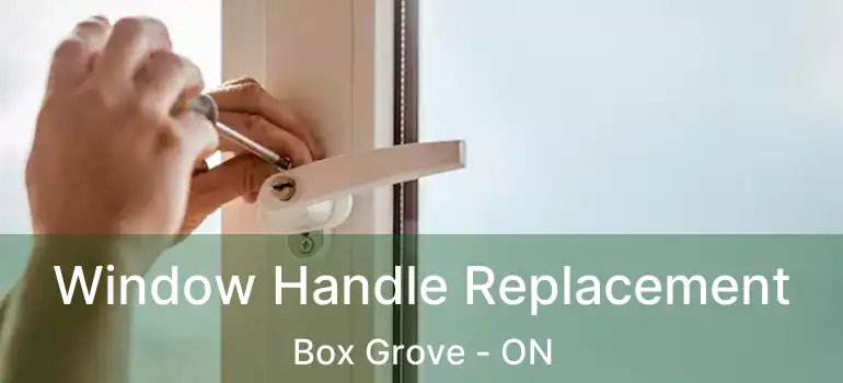  Window Handle Replacement Box Grove - ON