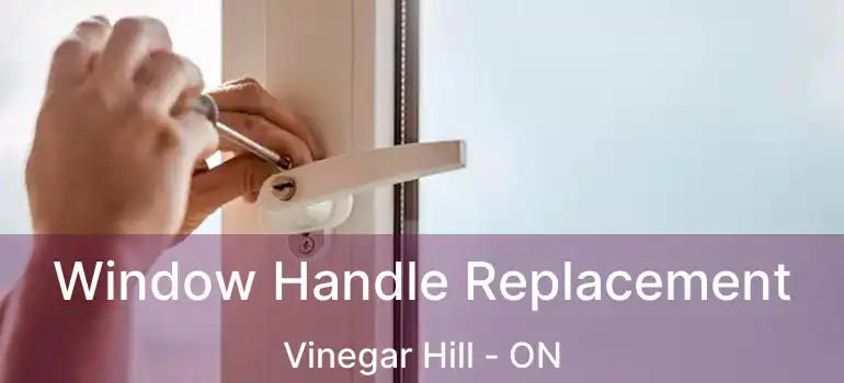 Window Handle Replacement Vinegar Hill - ON