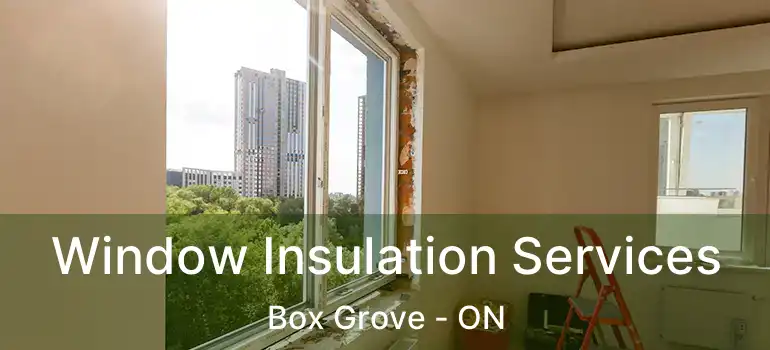  Window Insulation Services Box Grove - ON