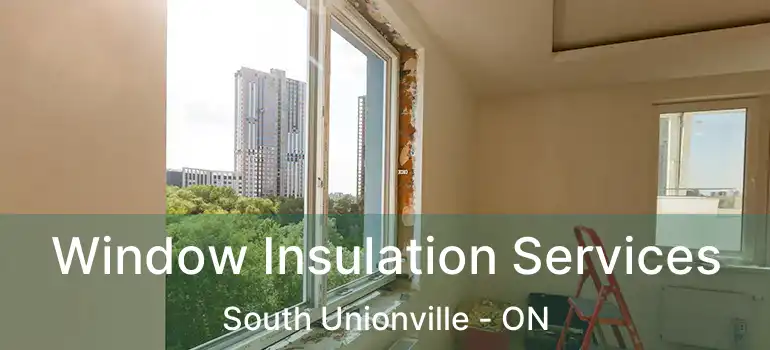  Window Insulation Services South Unionville - ON