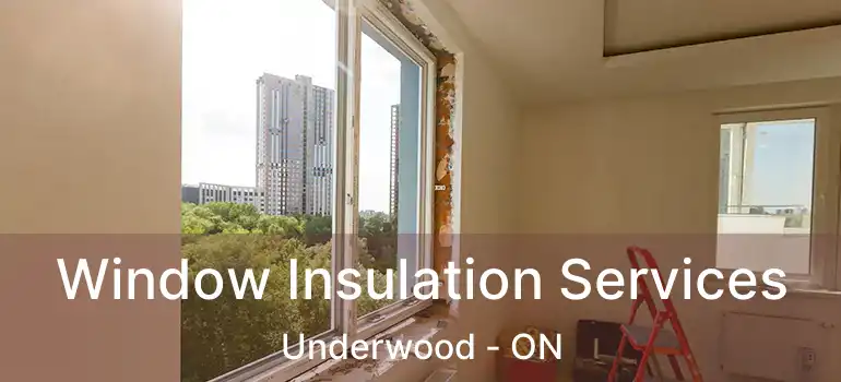 Window Insulation Services Underwood - ON