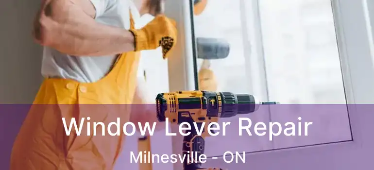  Window Lever Repair Milnesville - ON