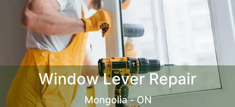  Window Lever Repair Mongolia - ON