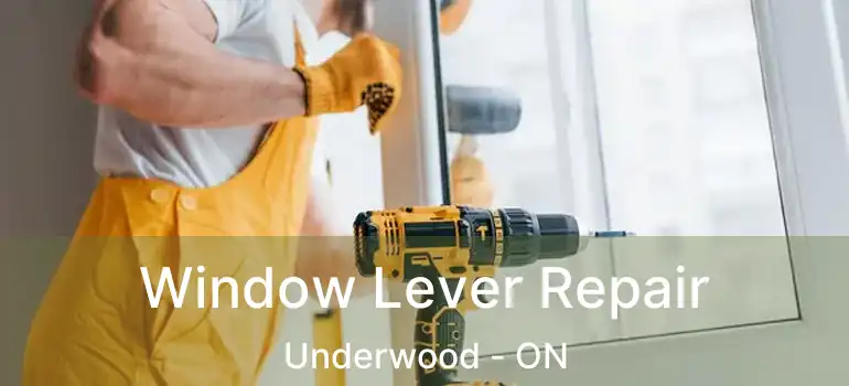  Window Lever Repair Underwood - ON