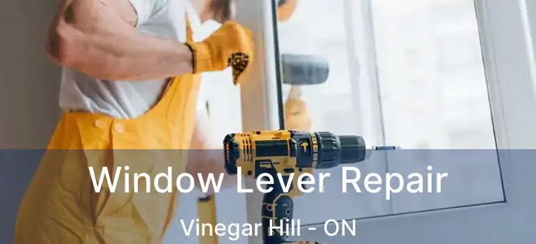  Window Lever Repair Vinegar Hill - ON