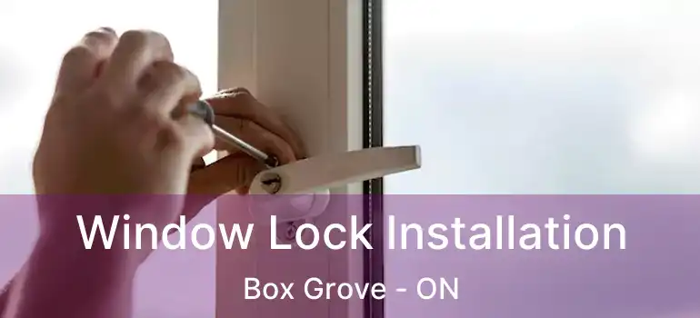 Window Lock Installation Box Grove - ON