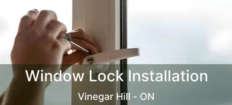  Window Lock Installation Vinegar Hill - ON