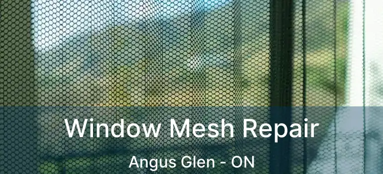  Window Mesh Repair Angus Glen - ON