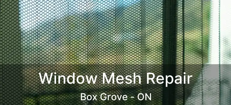  Window Mesh Repair Box Grove - ON
