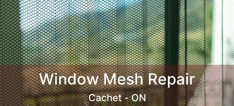  Window Mesh Repair Cachet - ON