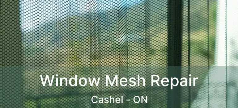  Window Mesh Repair Cashel - ON