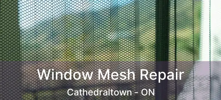  Window Mesh Repair Cathedraltown - ON