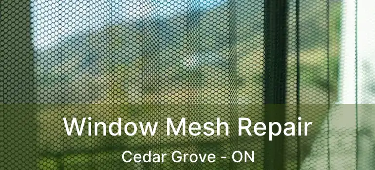  Window Mesh Repair Cedar Grove - ON