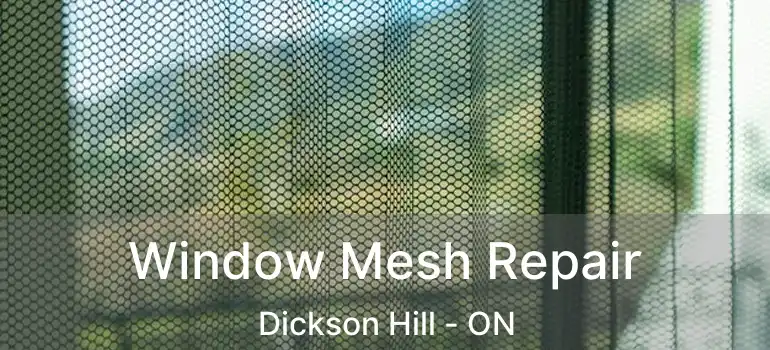  Window Mesh Repair Dickson Hill - ON