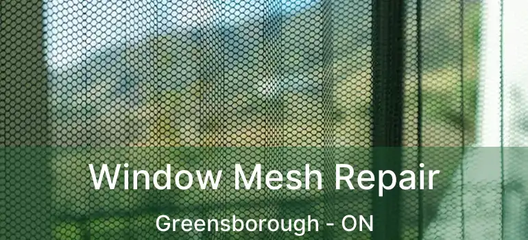  Window Mesh Repair Greensborough - ON
