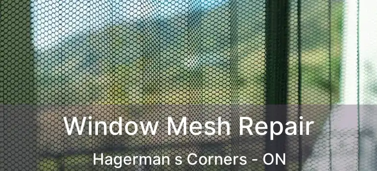  Window Mesh Repair Hagerman s Corners - ON