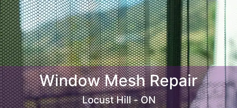  Window Mesh Repair Locust Hill - ON