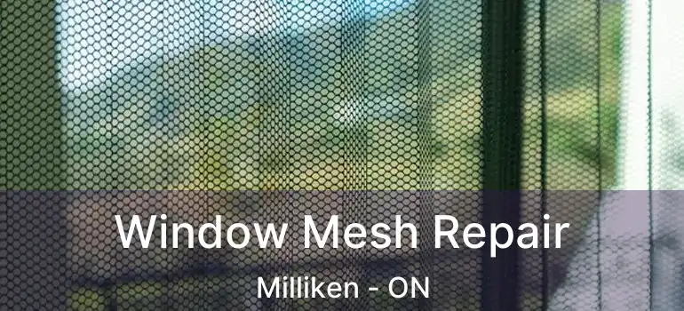  Window Mesh Repair Milliken - ON