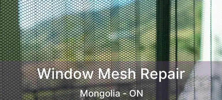  Window Mesh Repair Mongolia - ON