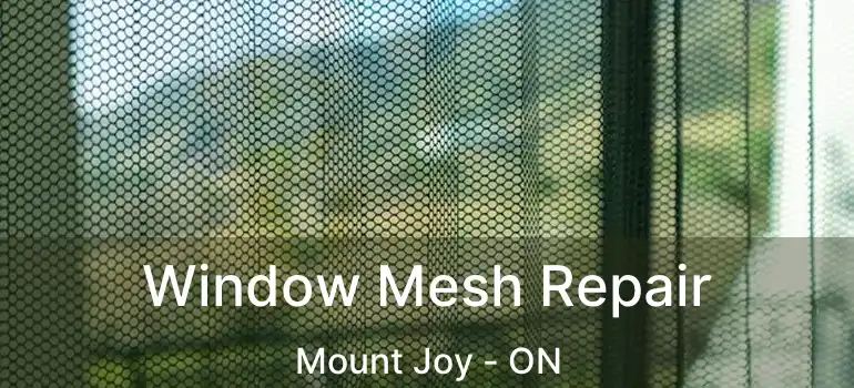  Window Mesh Repair Mount Joy - ON