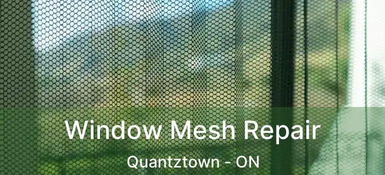  Window Mesh Repair Quantztown - ON