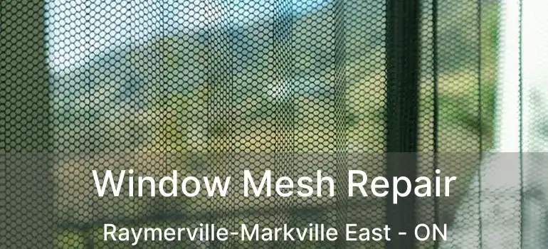  Window Mesh Repair Raymerville-Markville East - ON