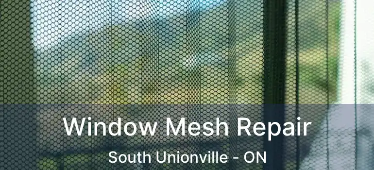 Window Mesh Repair South Unionville - ON